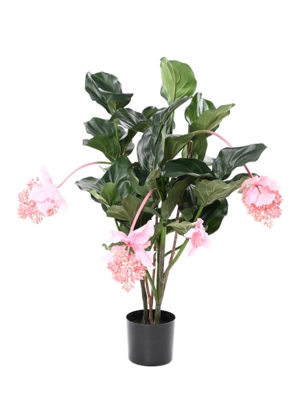 MEDONILLA ARTIFICIEL PLANTE FLEURIE