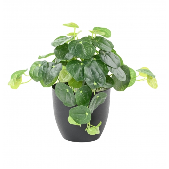 PILEA ARTIFICIEL POT DECO