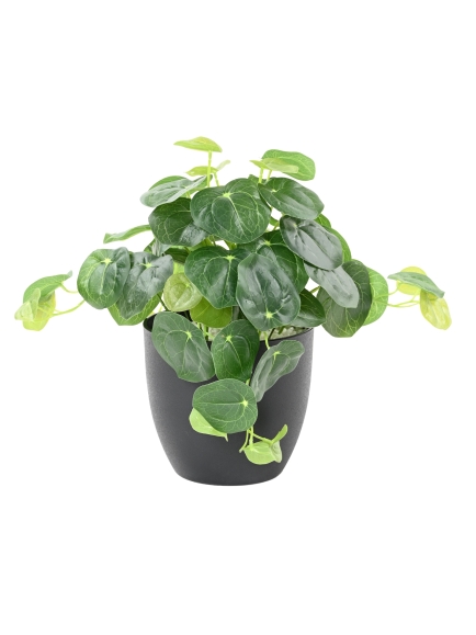 PILEA ARTIFICIEL POT DECO