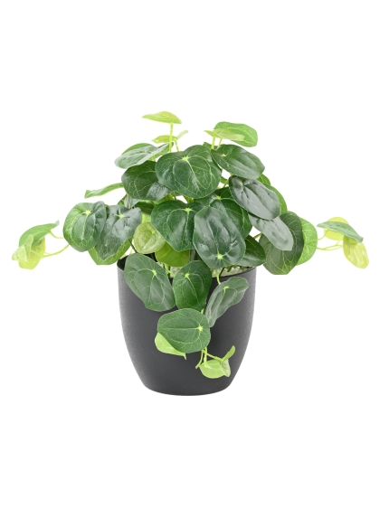 PILEA ARTIFICIEL POT DECO