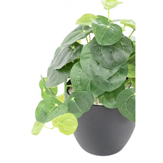 PILEA ARTIFICIEL POT DECO