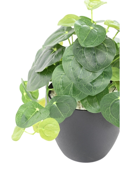 PILEA ARTIFICIEL POT DECO