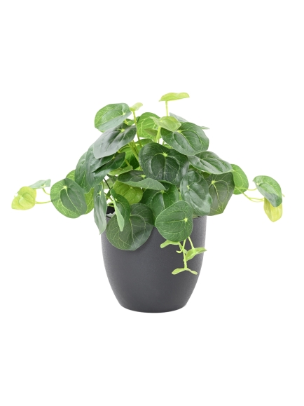 PILEA ARTIFICIEL POT DECO