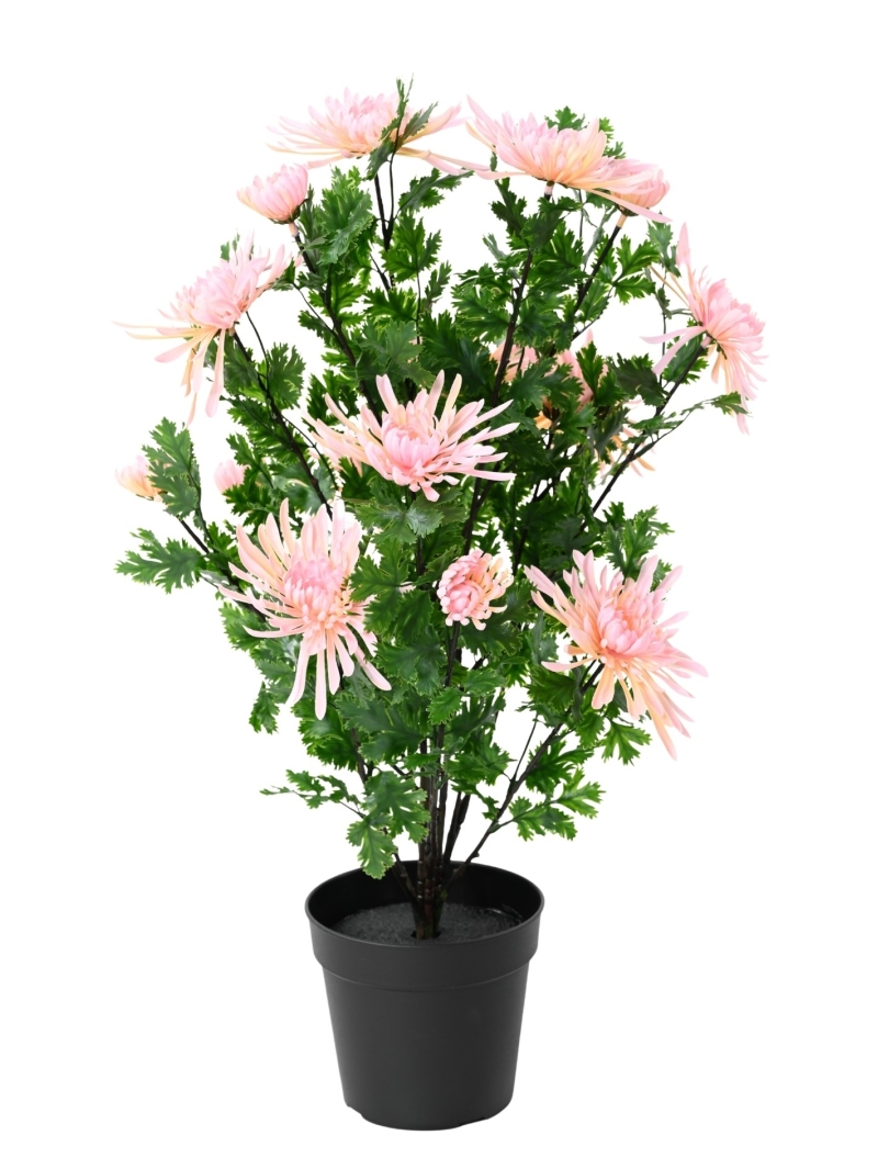 CHRYSANTHEME ARTIFICIEL EN POT ANTI-UV