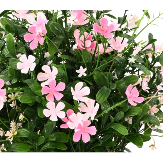 SAPONAIRE ARTIFICIELLE