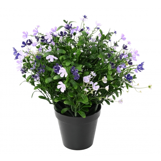 SAPONAIRE ARTIFICIELLE