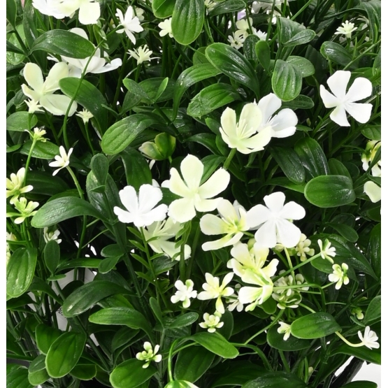 SAPONAIRE ARTIFICIELLE