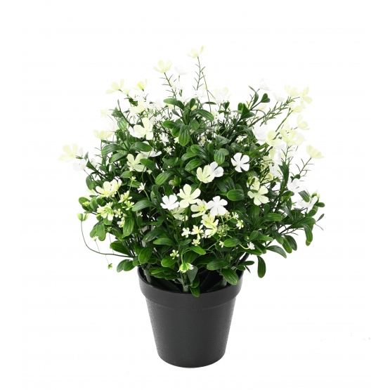 SAPONAIRE ARTIFICIELLE