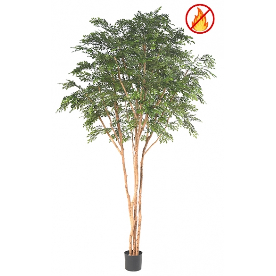 Arbre Bucida artificiel g&eacute;ant ANTI FEU