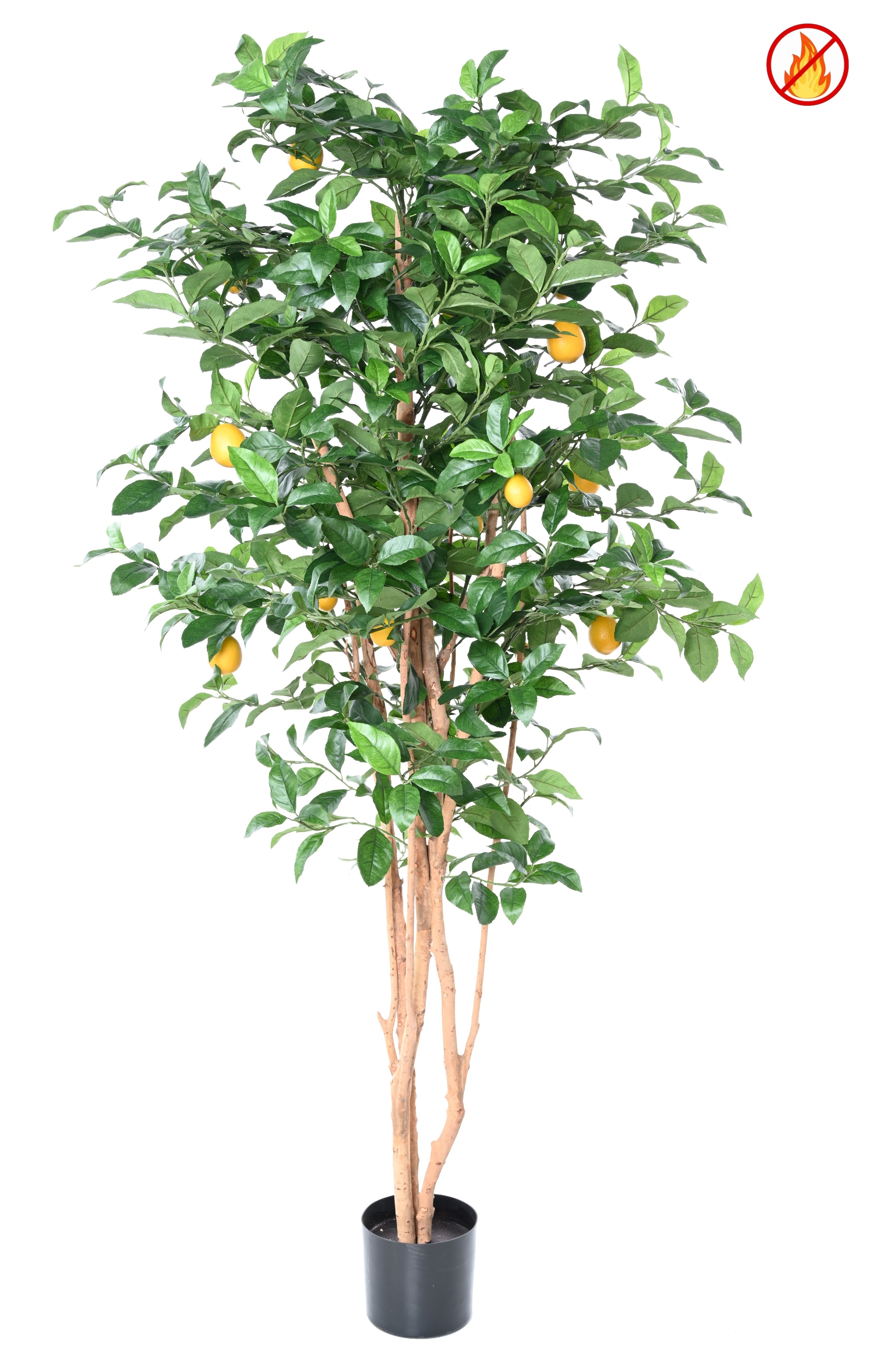 Citronnier new artificiel ANTI FEU