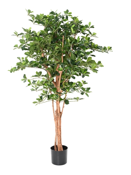 FICUS ARTIFICIEL BLACK OLIVE 155 CM
