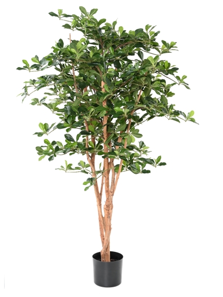 FICUS ARTIFICIEL BLACK OLIVE 155 CM