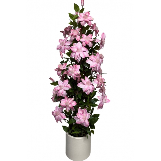 CLEMATITE ARTIFICIELLES