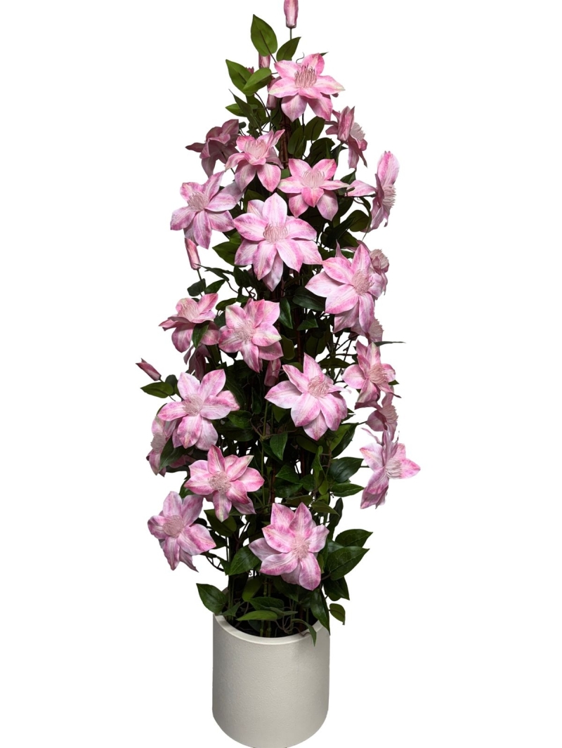 CLEMATITE ARTIFICIELLES