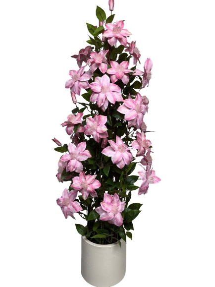 CLEMATITE ARTIFICIELLES