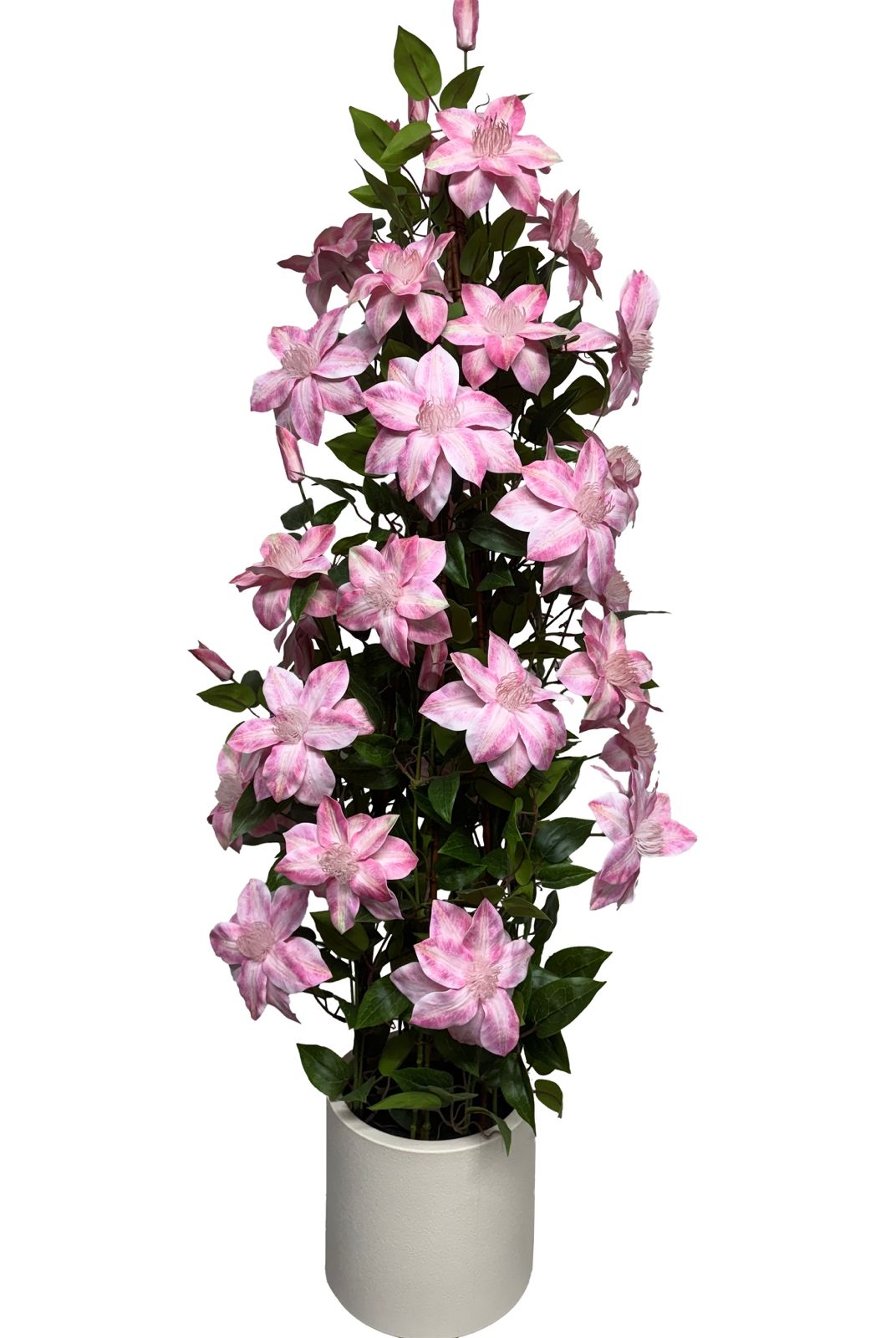 CLEMATITE ARTIFICIELLES