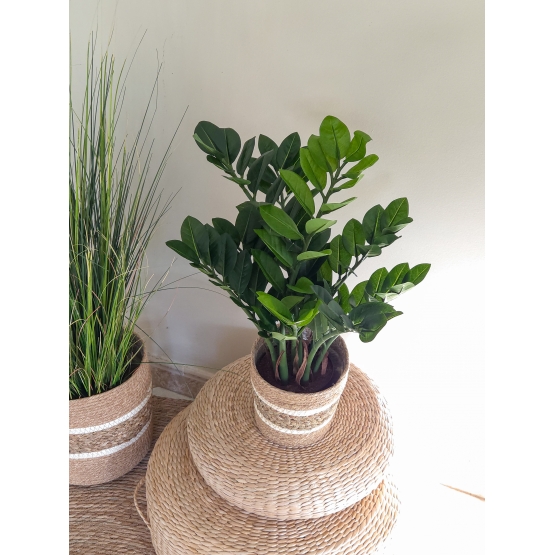 Zamia artificiel 60 cm