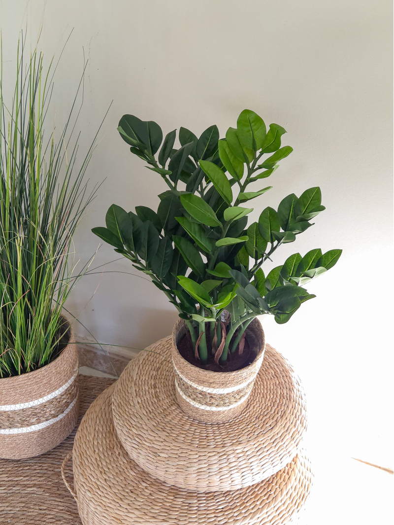 Zamia artificiel 60 cm