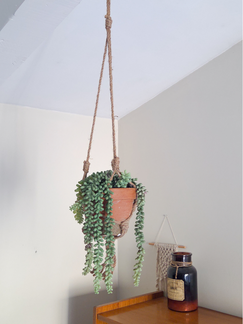 Crassula artificiel avec son macramé