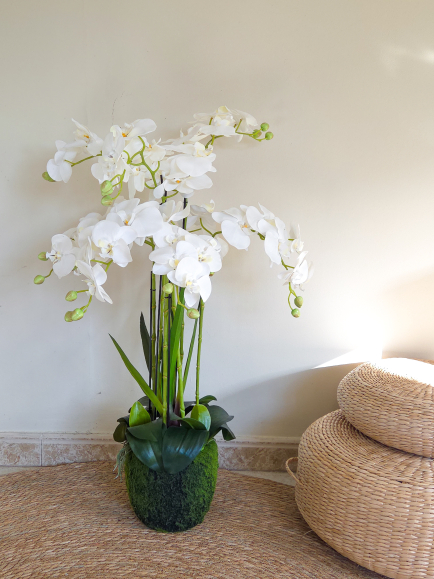 Orchidée artificielle en pot mousse  80 cm