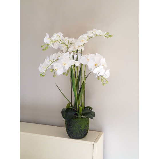 Orchid&eacute;e artificielle en pot mousse  80 cm