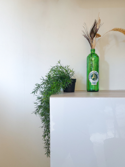 Chute asparagus artificiel anti-UV
