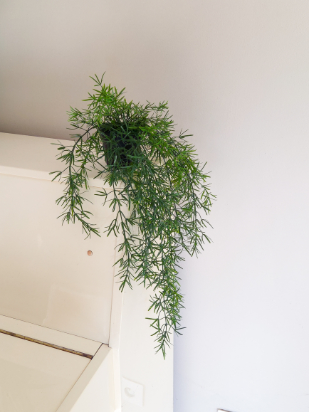 Chute asparagus artificiel anti-UV