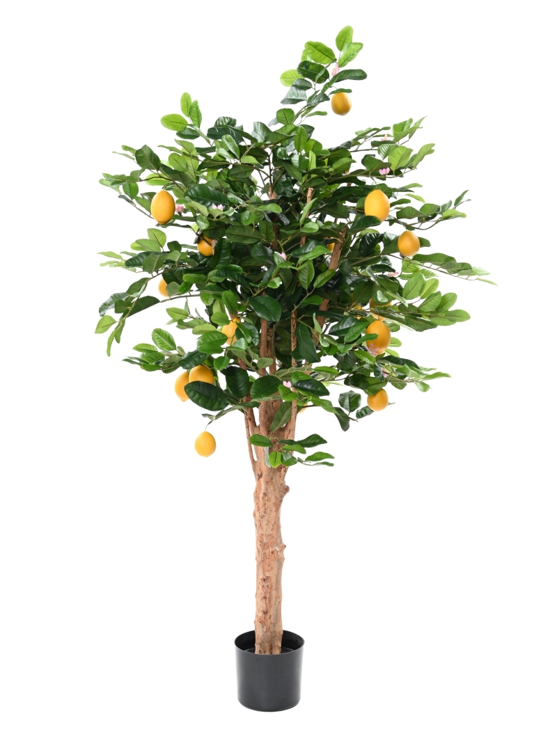 CITRONNIER ARTIFICIEL SUNNY