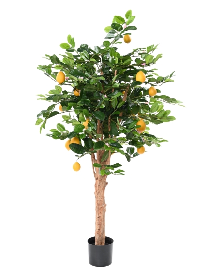 CITRONNIER ARTIFICIEL SUNNY