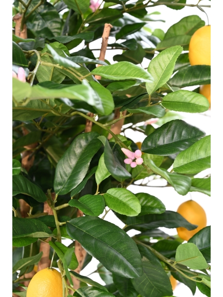 CITRONNIER ARTIFICIEL SUNNY