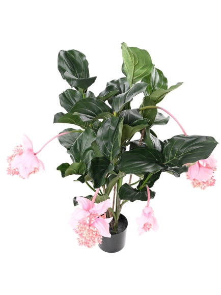 MEDONILLA ARTIFICIEL PLANTE FLEURIE