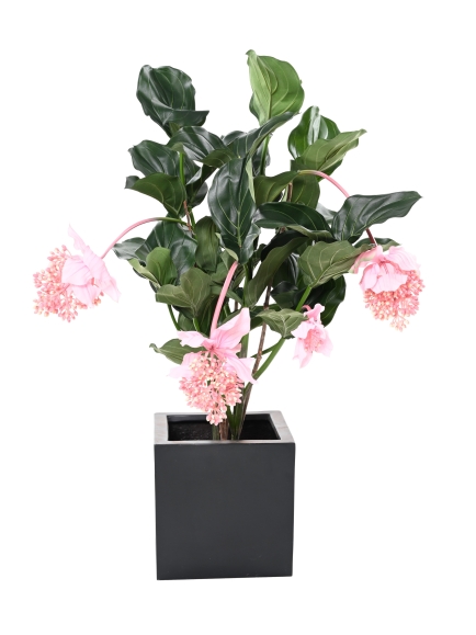 MEDONILLA ARTIFICIEL PLANTE FLEURIE