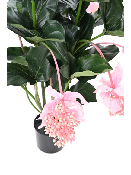 MEDONILLA ARTIFICIEL PLANTE FLEURIE