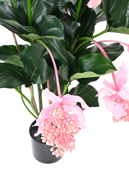 MEDONILLA ARTIFICIEL PLANTE FLEURIE