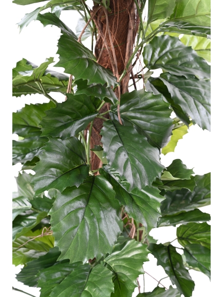 TETRASTIGMA PLANT ARTIFICIEL
