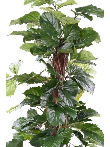 TETRASTIGMA PLANT ARTIFICIEL