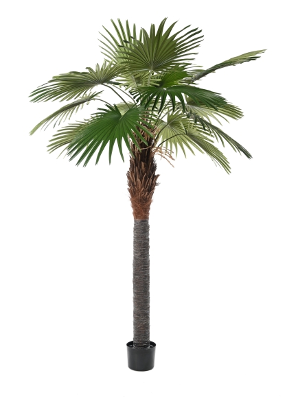 PALMIER ARTIFICIEL FAN PALM CAMERUS