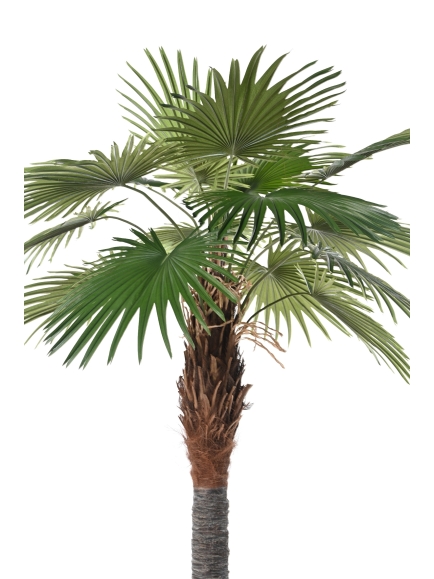 PALMIER ARTIFICIEL FAN PALM CAMERUS