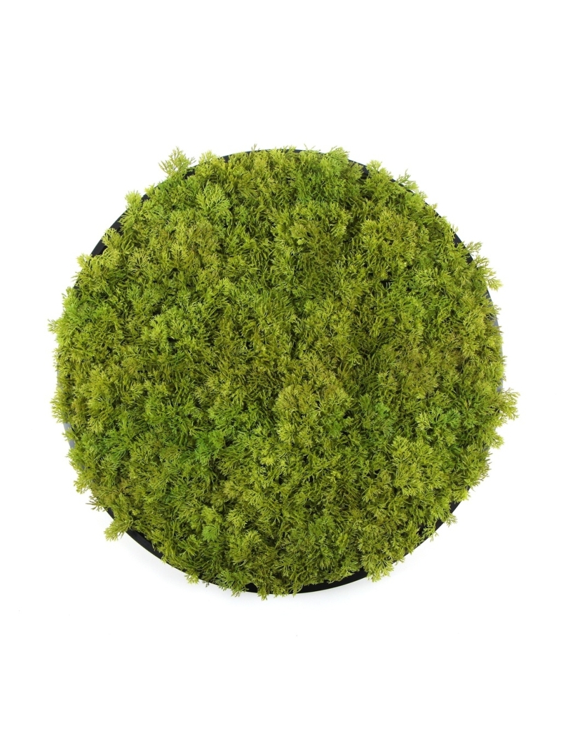 TABLEAU ROND MOUSSE ARTIFICIEL