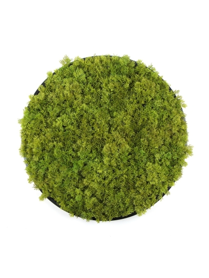 TABLEAU ROND MOUSSE ARTIFICIEL