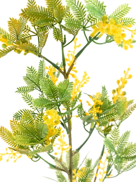 Mimosa artificiel en tige