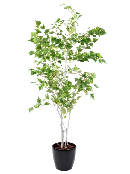 Arbre Bouleau Verruqueux artificiel