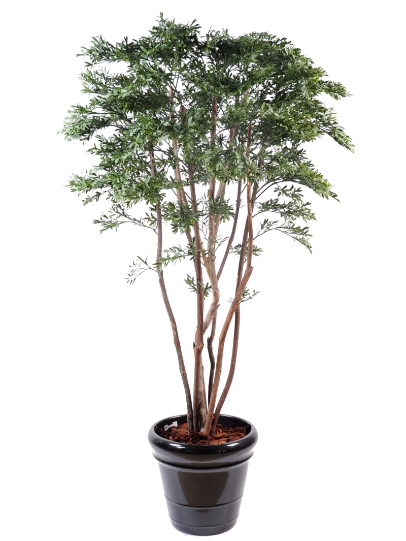 Saule américain artificiel 