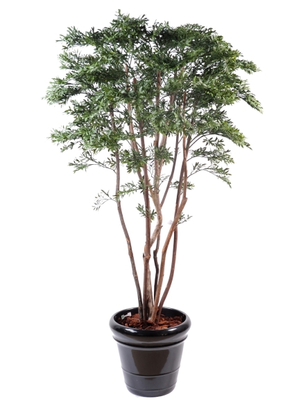 Saule américain artificiel 