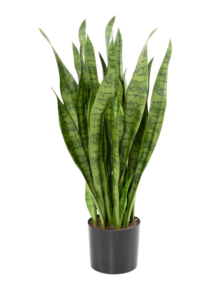 Sansévieria Artificiel Large