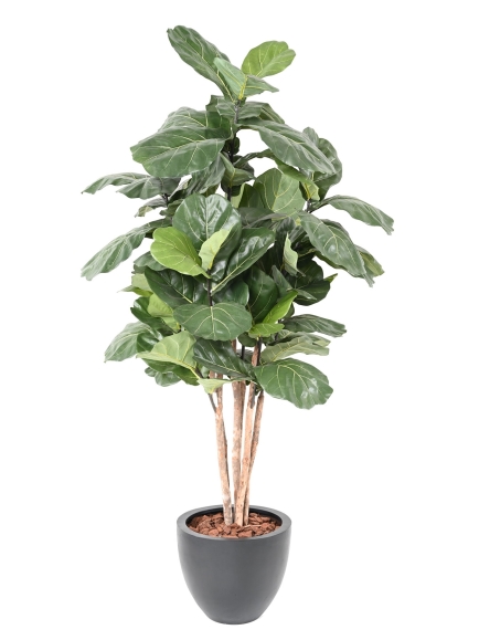 Ficus artificiel Lyrata - 4 tailles au choix