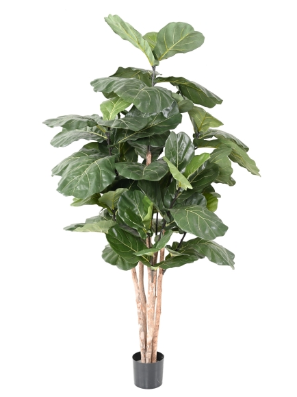 Ficus artificiel Lyrata - 4 tailles au choix