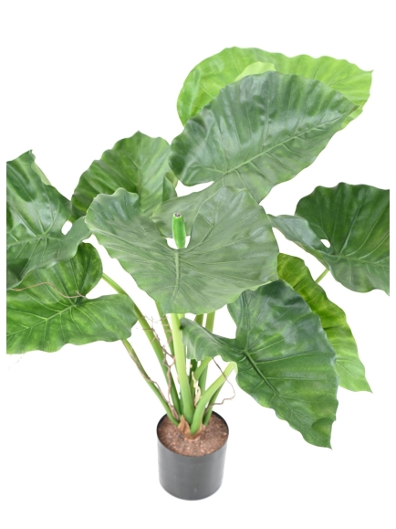 Alocasia Calidora Artificiel - Hauteur 80 cm - Tronc en fibre de verre