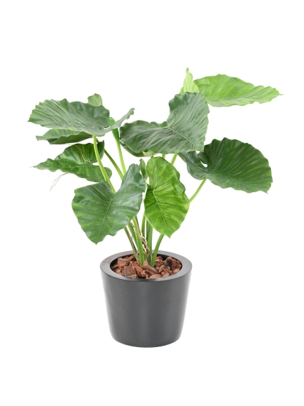 Alocasia Calidora Artificiel - Hauteur 80 cm - Tronc en fibre de verre