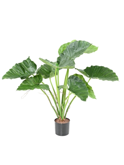 Alocasia Calidora Artificiel - Hauteur 80 cm - Tronc en fibre de verre